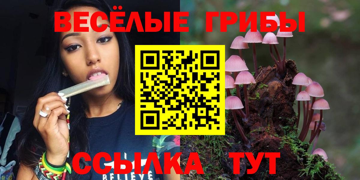 Псилоцибиновые грибы Psilocybine cubensis Михайловск
